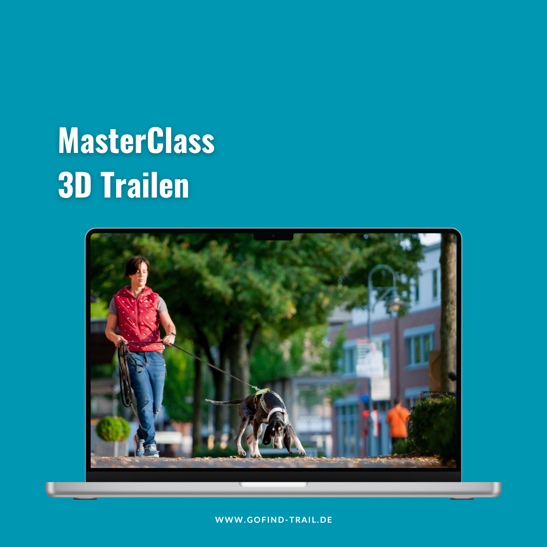 GO_FIND_MasterClass_3D_Trailen-1080x1080.png