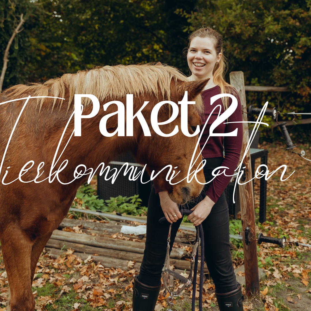 Reel Covers 3-1080x1080.png