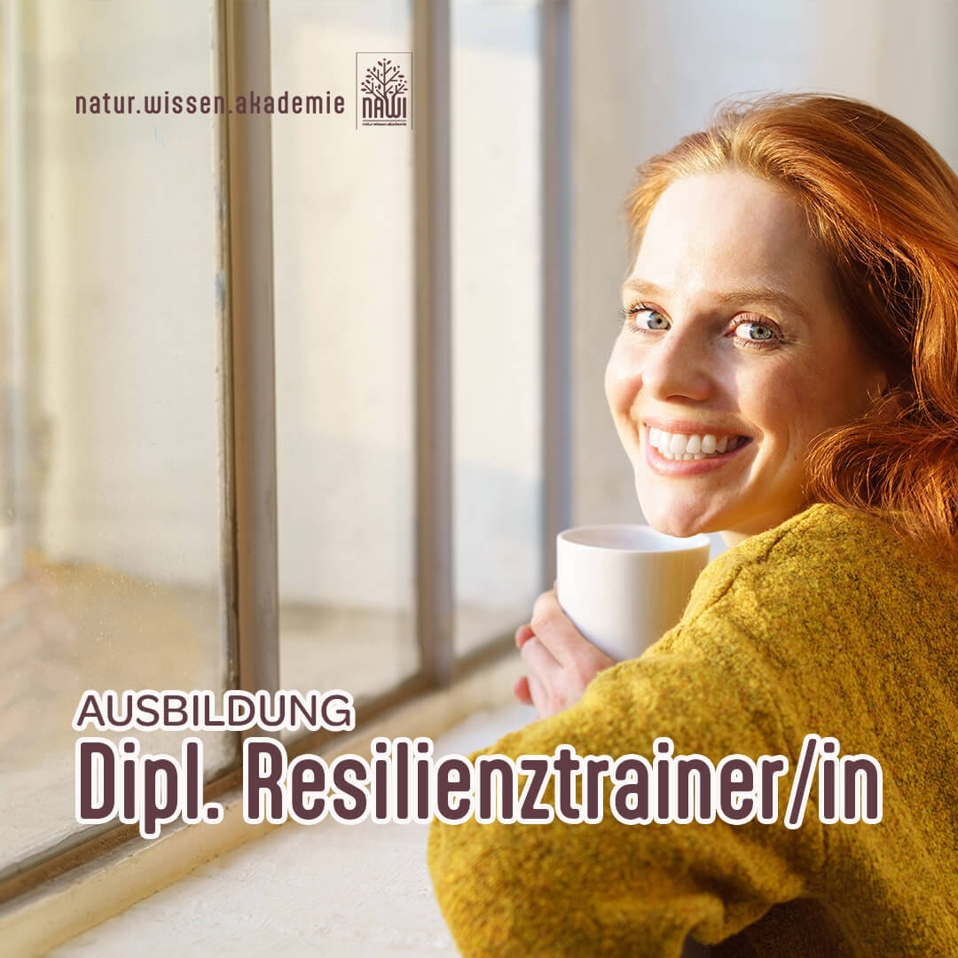 2026 Dipl. ResilienzTR 1080x1080 kl tiny-1080x1080.jpg