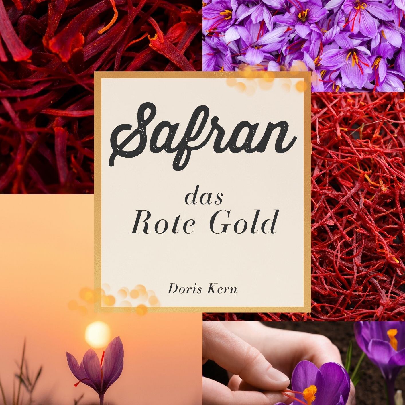 Safran Masterclass