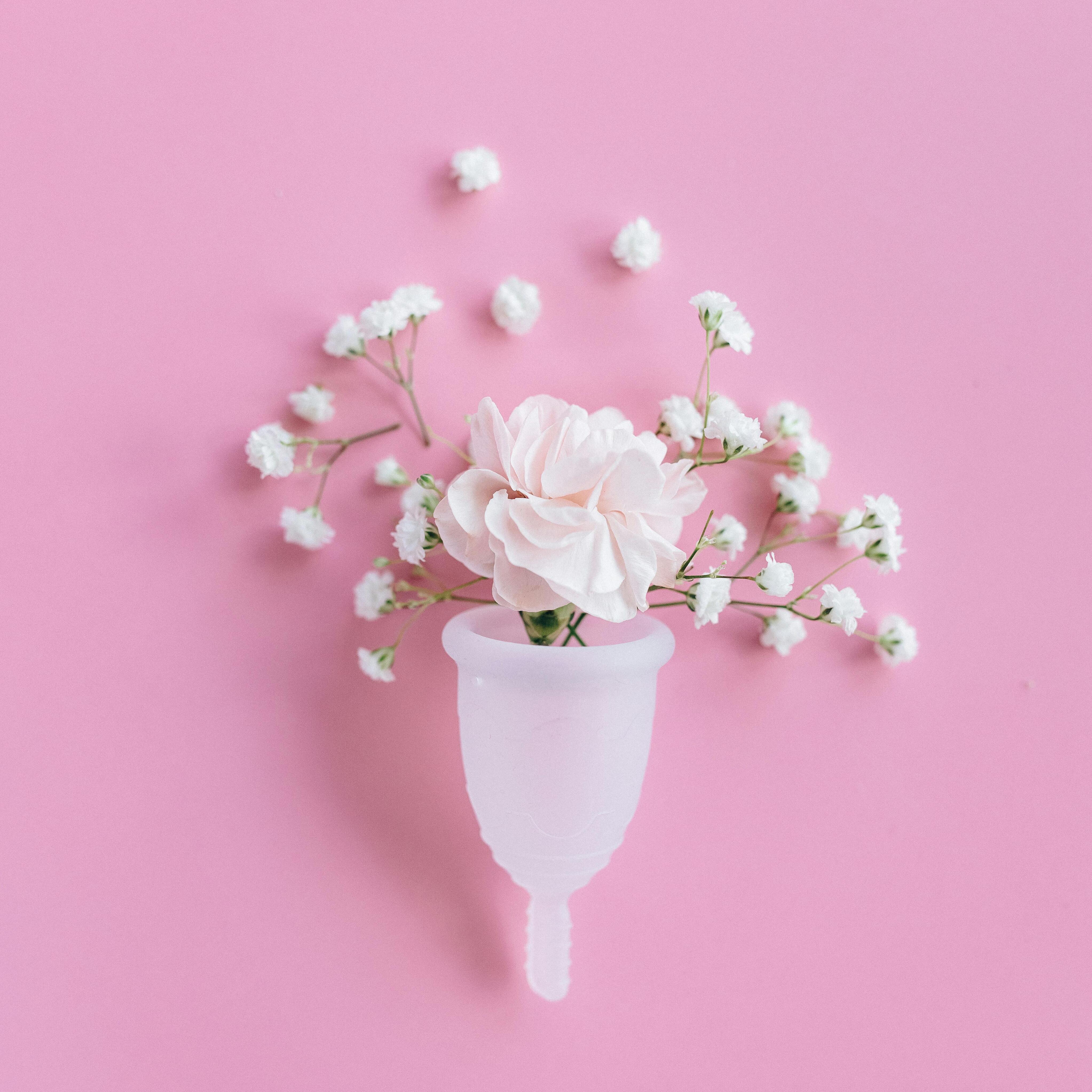 Rose in Menstruationstasse
