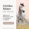 Meridian Balance Pferd 2025