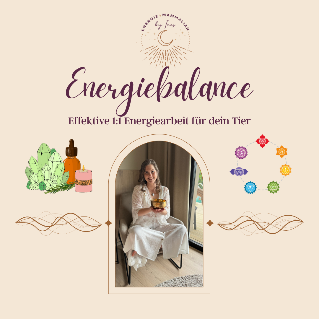 Produktbild für Energiebalance