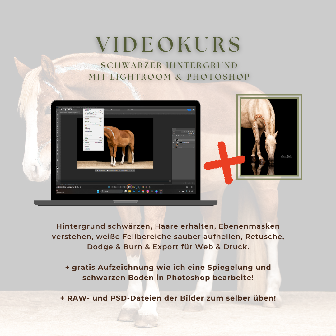 Onlinekurse Vorschau Website Neu mit gratis spiegelung-1080x1080.png