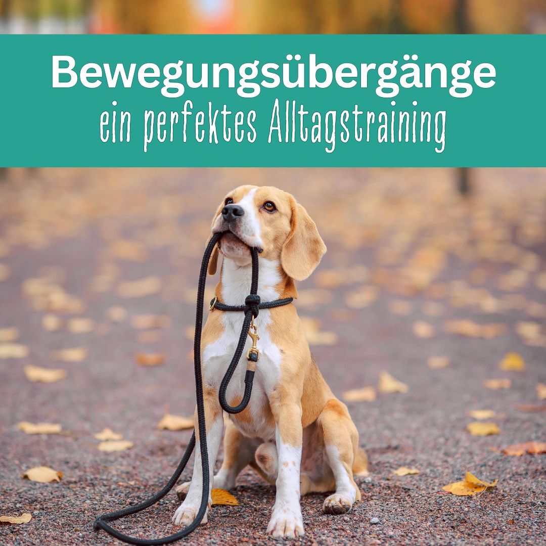 Beitragsbild 2-1080x1080.jpg