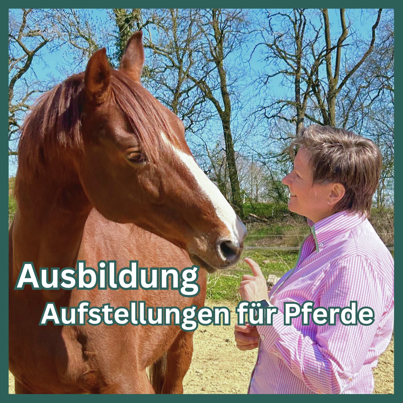 Pferde Club und Kurse(8)-1654x1654.jpg