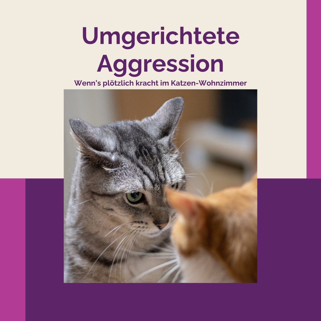 Produktbild Umgerichtete Aggression