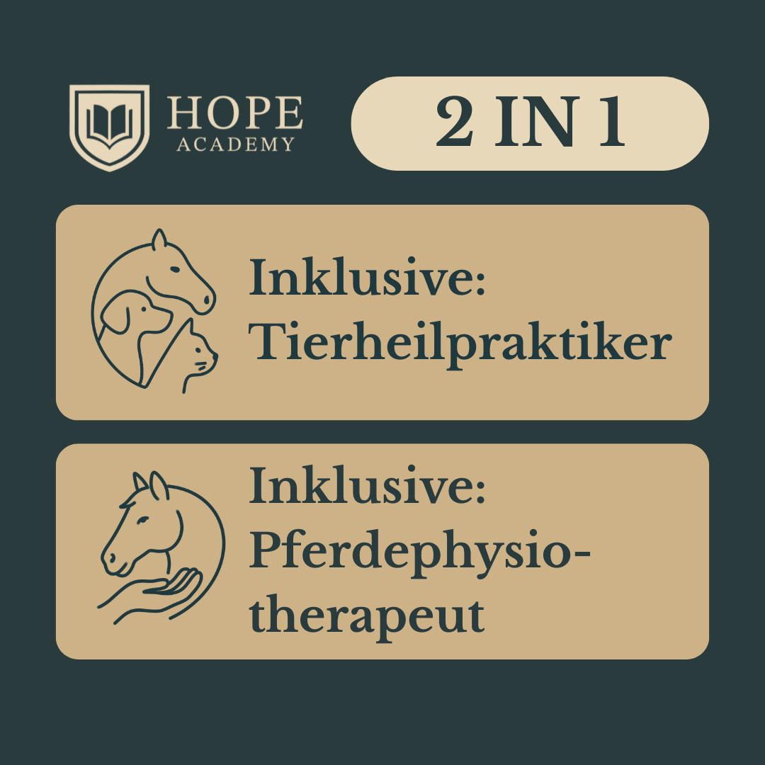 Fernstudium Tierheilpraktiker, Pferdephysiotherapeut