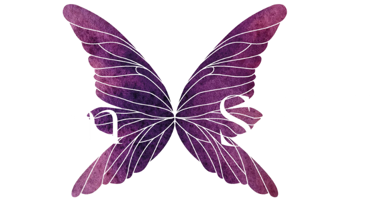 feinSEIN Academy Logo